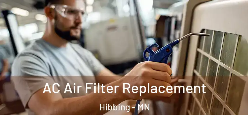  AC Air Filter Replacement Hibbing - MN
