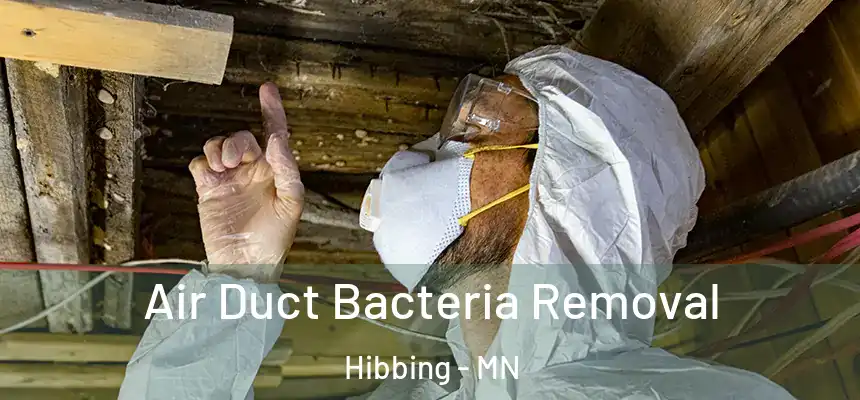  Air Duct Bacteria Removal Hibbing - MN