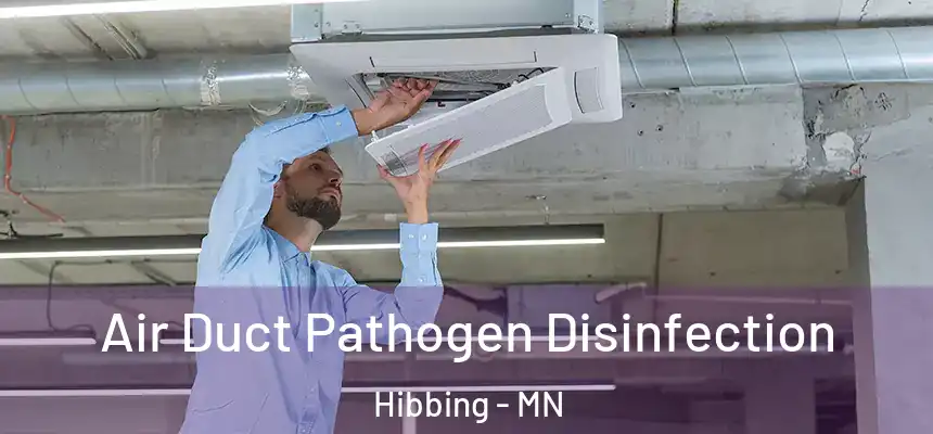  Air Duct Pathogen Disinfection Hibbing - MN