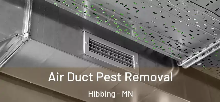  Air Duct Pest Removal Hibbing - MN