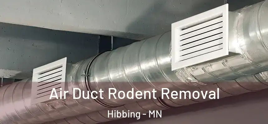  Air Duct Rodent Removal Hibbing - MN