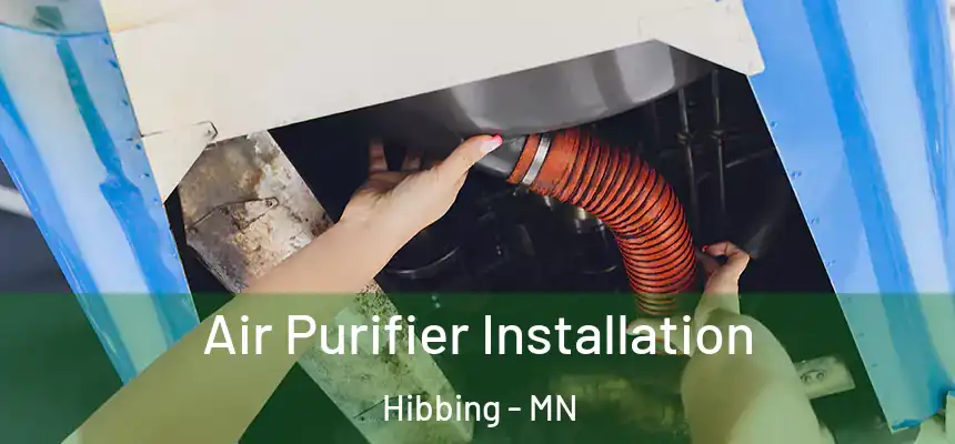  Air Purifier Installation Hibbing - MN