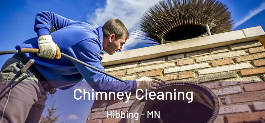  Chimney Cleaning Hibbing - MN