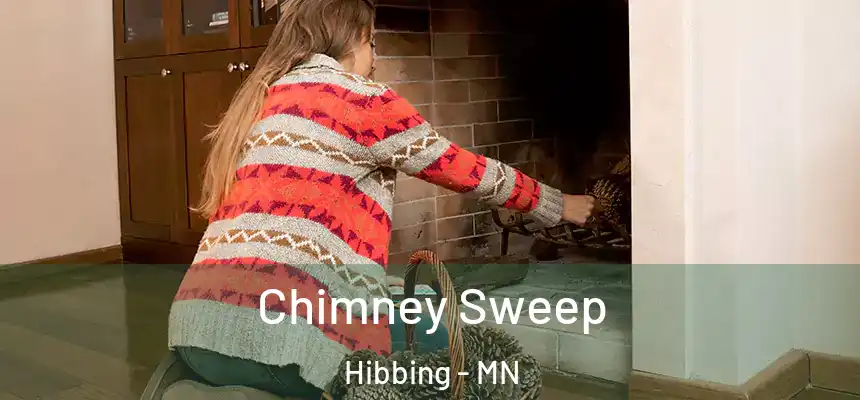  Chimney Sweep Hibbing - MN