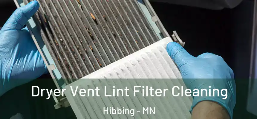  Dryer Vent Lint Filter Cleaning Hibbing - MN