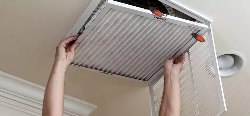 Preventive Cockroach-Proofing for Ducts in Hibbing
