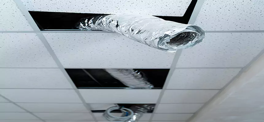 Our Air Duct Pet Hair Removal Services in Hibbing, MN