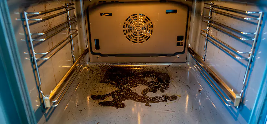 Our Dryer Vent Mold Cleaning Services in Hibbing, MN