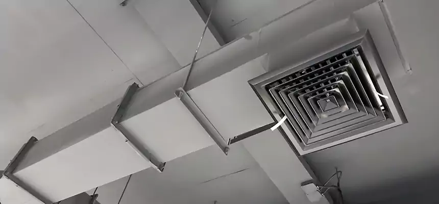 Our Rodent Droppings In Vents Services in Hibbing, MN