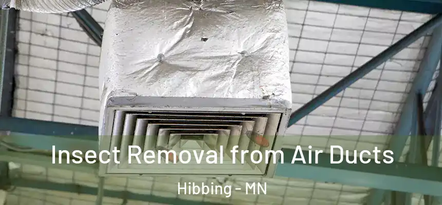  Insect Removal from Air Ducts Hibbing - MN