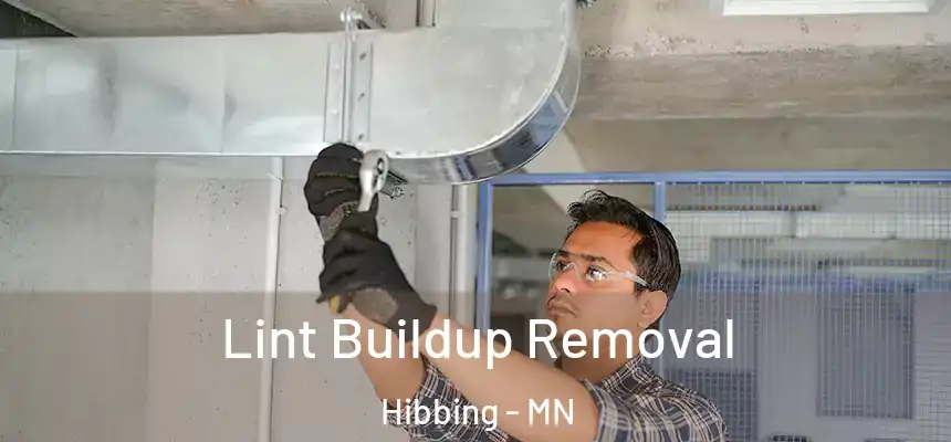  Lint Buildup Removal Hibbing - MN