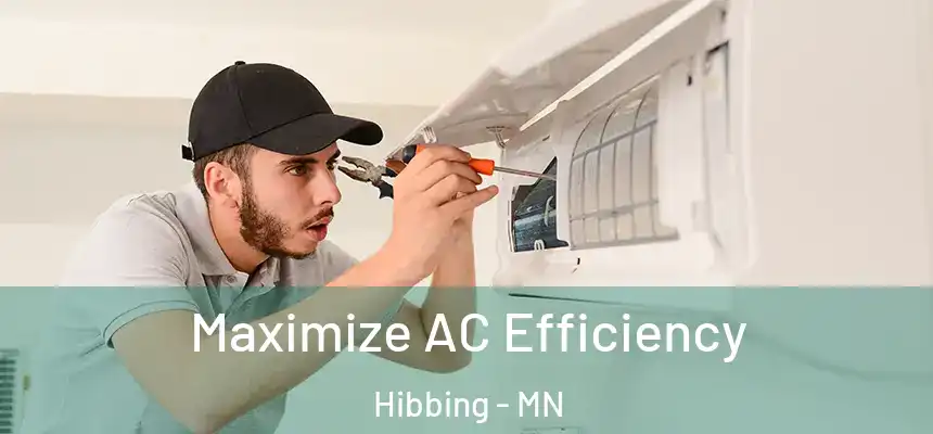  Maximize AC Efficiency Hibbing - MN