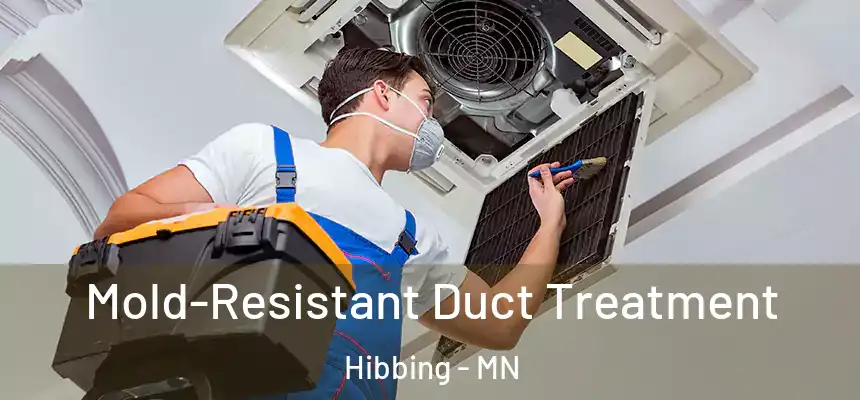  Mold-Resistant Duct Treatment Hibbing - MN