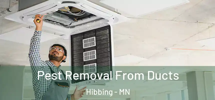  Pest Removal From Ducts Hibbing - MN