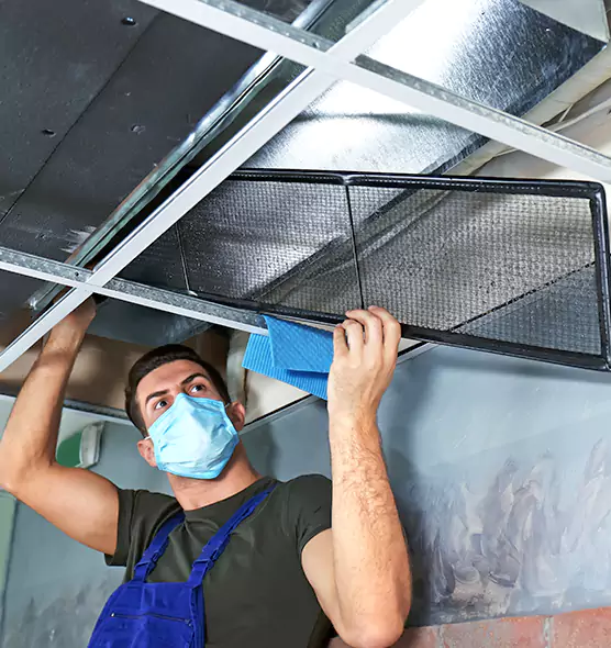 Professional Air Duct Pollen Cleaning in Hibbing, MN