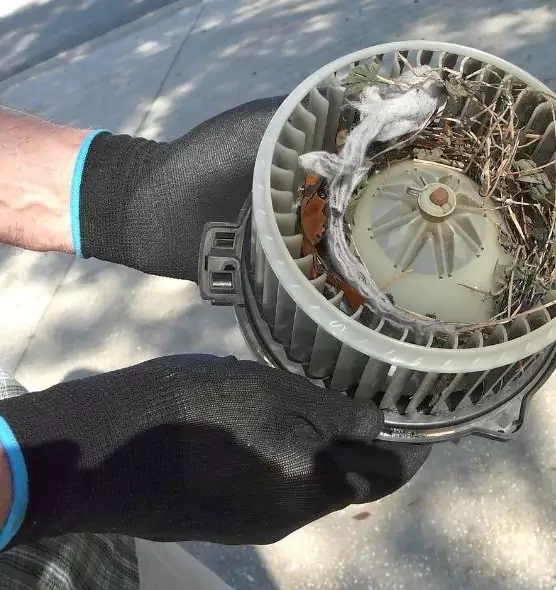 About Air Duct Rat Removal in Hibbing, MN