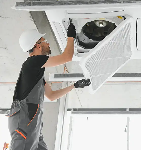 About Air Duct Rodent Removal in Hibbing, MN