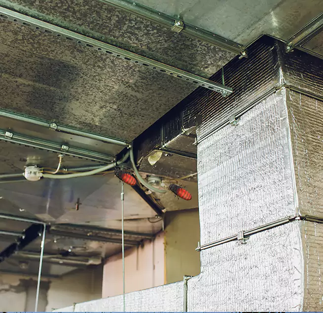 Why Homeowners & Businesses Trust Us in Hibbing, MN?