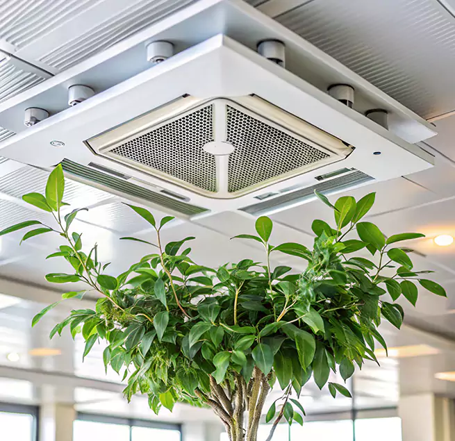 Why Homeowners & Businesses Trust Us in Hibbing, MN