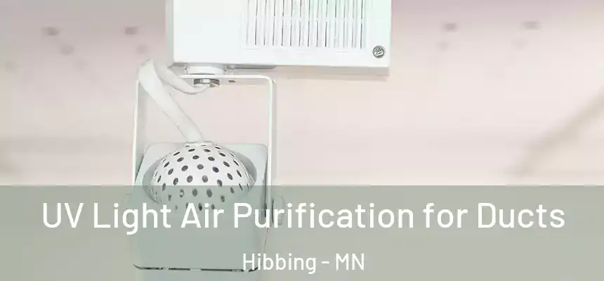  UV Light Air Purification for Ducts Hibbing - MN